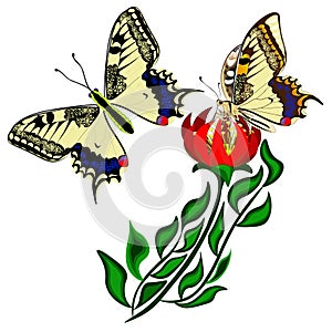 Vector. Isolated clipart. Butterflies Swallowtail with red flower  isolated on white background.