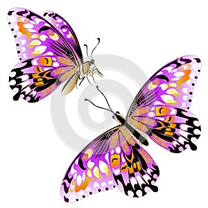 Vector.Isolated clipart  lilac butterflies on white background Ar.