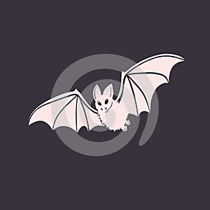 Vector isolated illustration of bat. Halloween design