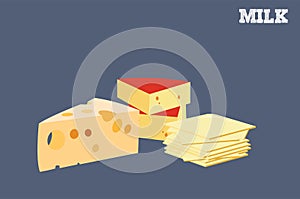 Vector Isolated Illustration of Differente Types of Cheese