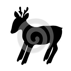 Vector isolated illustration of a roe deer animal.Silhouette of a deer