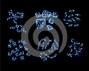 Vector isolated illustration of a set of cocci bacteria.