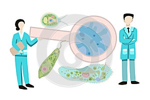 Vector isolated illustration set of unicellular organisms. Study of biology. Amoeba proteus and infusoria. The structure of Evlena photo