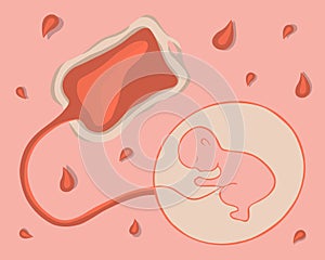 Vector isolated illustration of umbilical cord blood.