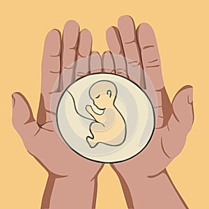 Vector isolated illustration of unborn baby.