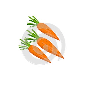 Vector isolated image of orange fresh carrots on white background in flat style. Vegetables detox. Product from the garden. For di