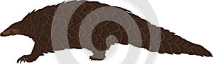 Vector Isolated Pangolin, exotic mammal  animal with coronavirus