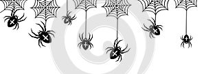 Vector isolated pattern with hanging spiders for decoration and covering on the transparent background.