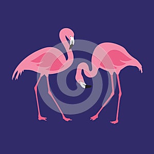 Vector isolated pink flamingos pair. Hand Drawn illustration