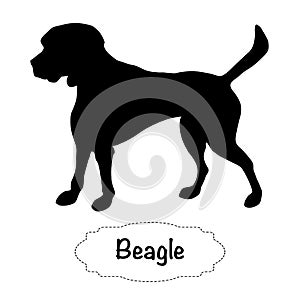 Vector isolated silhouette of Beagle dog on white background.