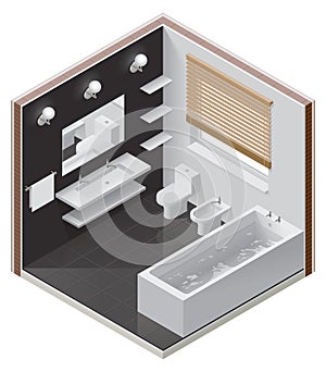 Vettore isometrico il bagno icona 