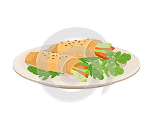 Vector Isometric Illustration Of Vegetable Spring Roll Isolated On White Background.