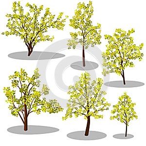 Vector isometric trees and decorative bushes