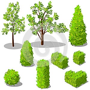 Vector isometric trees and decorative bushes