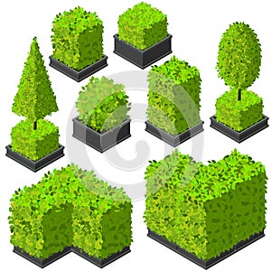 Vector isometric trees and decorative bushes