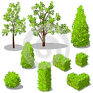 Vector isometric trees and decorative bushes photo