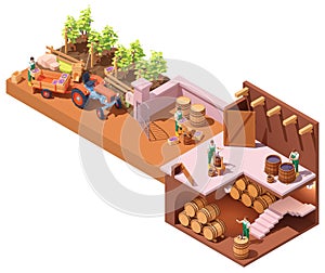 Vector isometric winery and wine making