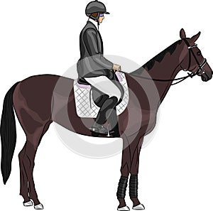 Vector of a jockey on a horse