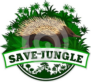 Vector jungle rainforest emblem with  Australia Short-beaked Echidna