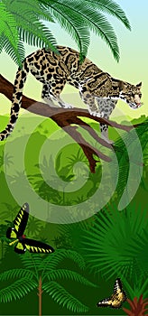 Vector Jungle rainforest vertical baner with clouded leopard neofelis nebulosa and trogonoptera birdwings butterflies