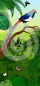 Vector Jungle rainforest vertical baner with diamond lady amherst`s pheasant and butterflies