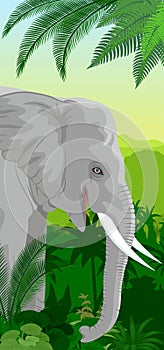 Vector Jungle rainforest vertical baner with elephant