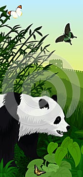 Vector Jungle rainforest vertical baner with giant panda bear