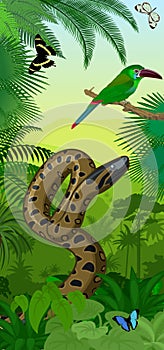 Vector Jungle rainforest vertical baner with Green anaconda, Crimson-rumped toucanet and tropical butterflies