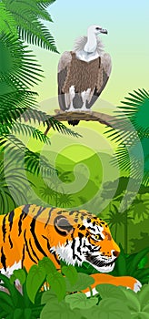 Vector Jungle rainforest vertical baner with Griffon vulture and tiger