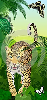 Vector Jungle rainforest vertical baner with jaguar or leopard and butterflies