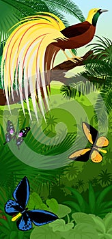 Vector Jungle rainforest vertical baner with Lesser Bird of Paradise with birdwing butterflies