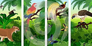 Vector Jungle rainforest vertical baner with Lesser Bird of Paradisea,puma cougart, parrot red scarlet macaw arae , hummingbirds