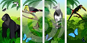 Vector Jungle rainforest vertical baner with male gorilla, pale-mandibled aracari toucanet, harpy eagle , rainbow-billed toucan a