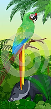 Vector Jungle rainforest vertical baner with parrot green Military Macaw Ara militaris and wild pig peccary