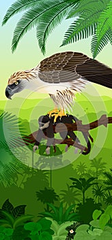 Vector Jungle rainforest vertical baner with philippine Eagle with monkey