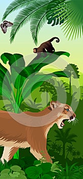 Vector Jungle rainforest vertical baner with puma cougar Puma concolor or mountain lion, ape monkey capuchin and morpho butterfl