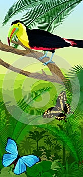 Vector Jungle rainforest vertical baner with rainbow-billed toucan and morpho butterflies