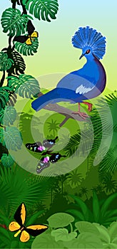 Vector Jungle rainforest vertical baner with victoria crowned pigeon and New Guinea birdwings butterflies