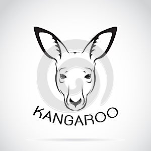 Vector of a kangaroo head on white background.