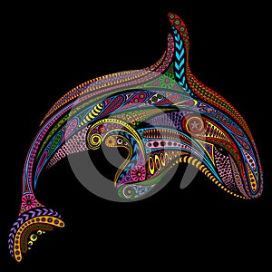 Vector killer whale from color patterns on black background