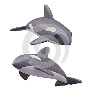 Vector killer whales in cartoon style. 3D ocean dweller. Predatory sea animal, orca