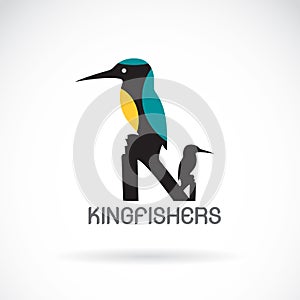 Vector of a kingfishers Alcedo atthis on white background.