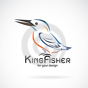 Vector of kingfishers birdAlcedo atthis on white background. Bird Design. Kingfishers logo or icon. Easy editable layered vector