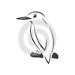 Vector of a kingfishers Black on white background. Bird Design. icon. logo. symbol. Illustrator. animal