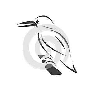 Vector of a kingfishers Black on white background. Bird Design. icon. logo. symbol. Illustrator. animal