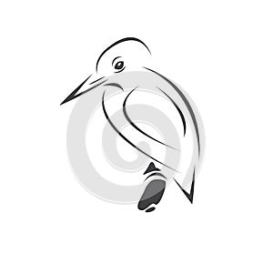 Vector of a kingfishers Black on white background. Bird Design. icon. logo. symbol. Illustrator. animal