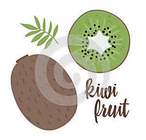 Vector kiwi clip art. Jungle fruit illustration. Hand drawn flat exotic plants isolated on white background. Bright childish