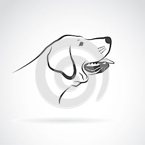 Vector of a labrador dog head on a white background. Pet.