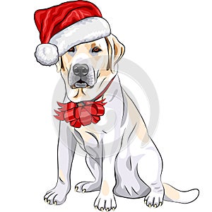 vector Labrador in the hat of Santa Claus photo