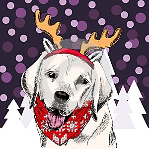 Vector labrador retriever dog wears raindeer anklers tiara and bandana. on snowy trees and sparklers. Sketched